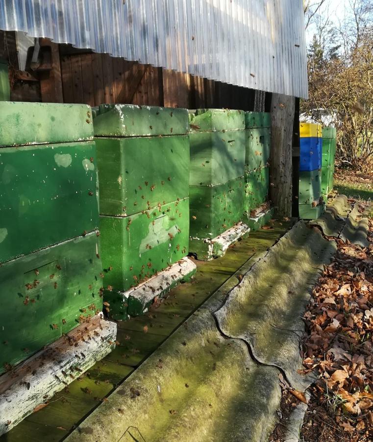 Ferienwohnung Wiesenweg バート・ベーダーケーザー エクステリア 写真