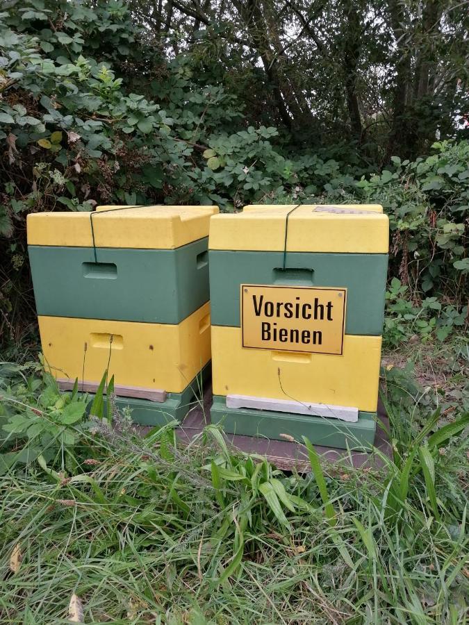 Ferienwohnung Wiesenweg バート・ベーダーケーザー エクステリア 写真