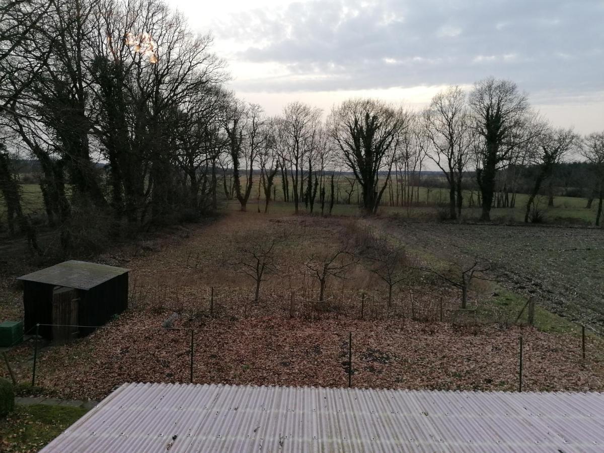 Ferienwohnung Wiesenweg バート・ベーダーケーザー エクステリア 写真